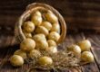 Are potatoes good for weight loss