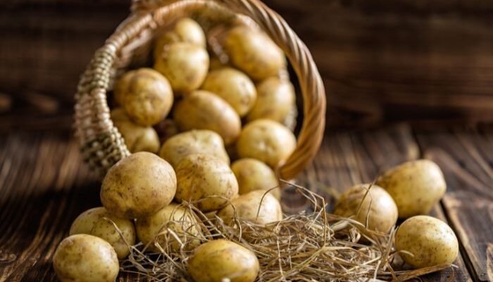 Are potatoes good for weight loss